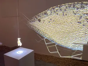 Kunst Installation mit Torfmoosen © Greta Gaudig